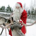 A reindeer was ‘shot at close range’ at Santa Experience in Wicklow