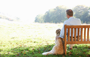 Dad babysits his daughter’s dog and it’s the cutest thing ever