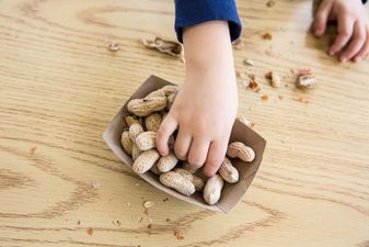 A new test for peanut allergies is being developed and it’s MUCH more accurate