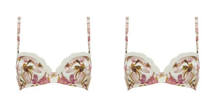 The new M&S Rosie Huntington-Whiteley bras are gorgeous for spring