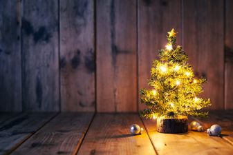 Why Christmas was cancelled at Limerick’s Direct Provision Centre