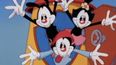 The Animaniacs are officially coming back … but there’s a small catch