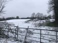 Body found in Carlow: man ‘may have died of hypothermia’ during Storm Emma