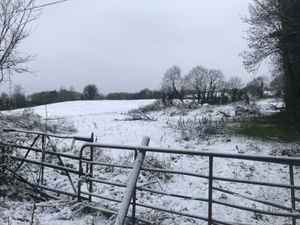 Body found in Carlow: man ‘may have died of hypothermia’ during Storm Emma