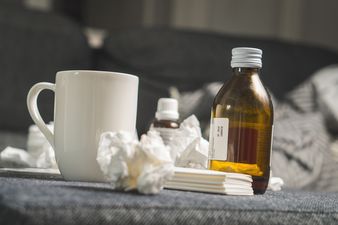 Up to four people die as new outbreak of swine flu hits Ireland
