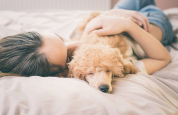 Teacher receives sweetest message from boy in her class after dog gets put to sleep