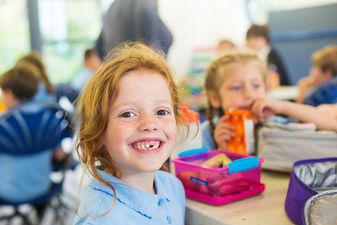 A new lunch initiative driven by 6th class is about to be rolled out in Irish schools