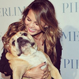 Chrissy Teigen shares emotional post after her dog Puddy passes away