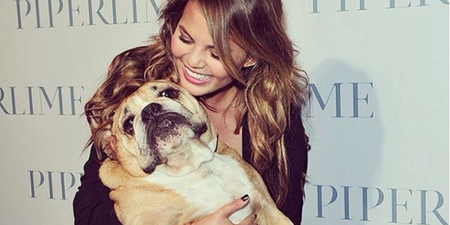 Chrissy Teigen shares emotional post after her dog Puddy passes away