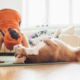 Dog Yoga is the brand new fitness trend that’s the puppy-lovers dream