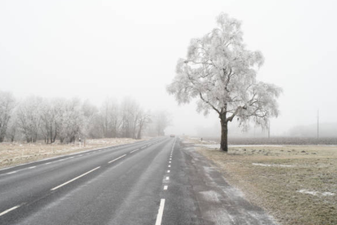 Leave extra time to get to work tomorrow because the roads look set to be treacherous