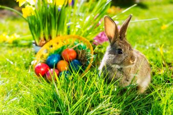 Smyths Toys are holding a brilliant (and free) Easter event this weekend