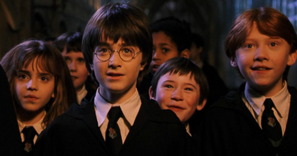 Hodges Figgis is throwing a Harry Potter book night next month and we’re going