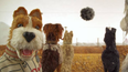 You can bring your dog to the cinema next week and we are too excited