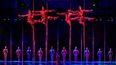 A Cirque du Soleil performer has died after tragically falling during show