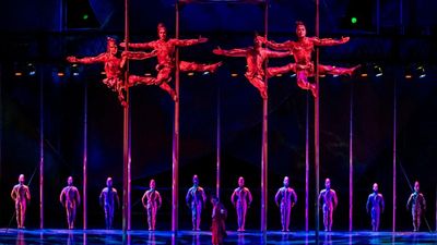 A Cirque du Soleil performer has died after tragically falling during show