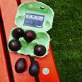 Tesco now stocks mini ‘snack-sized’ avocados and we’re hugely intrigued