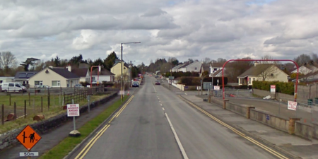 Two mothers who died in Galway crash named locally