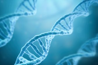 Twin baby girls born after genetic editing could be at risk of an early death