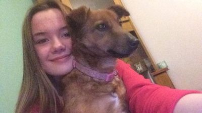 Facebook apologises to family of Elisha Gault for removing a tribute to the 14-year-old
