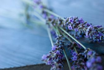 This easy-to-make lavender cheesecake looks honestly too pretty to eat