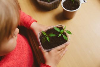 Social distancing: 3 easy nature-inspired projects to get the kids involved in