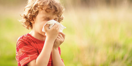 Absolutely everything you need to know about hay fever – and how to tackle it