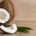 10 amazing uses for coconut oil that you might not have heard of
