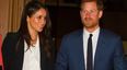 Meghan Markle’s brother pens very harsh letter to Prince Harry begging him not to marry her