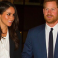 Meghan Markle’s brother pens very harsh letter to Prince Harry begging him not to marry her