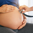 So you’re pregnant – this is what you’re entitled to