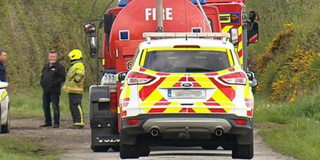 A man and a seven-year-old boy have died following a plane crash in Offaly