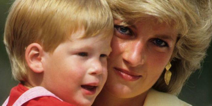 Princess Diana's former bodyguard has some harsh words for Prince Harry