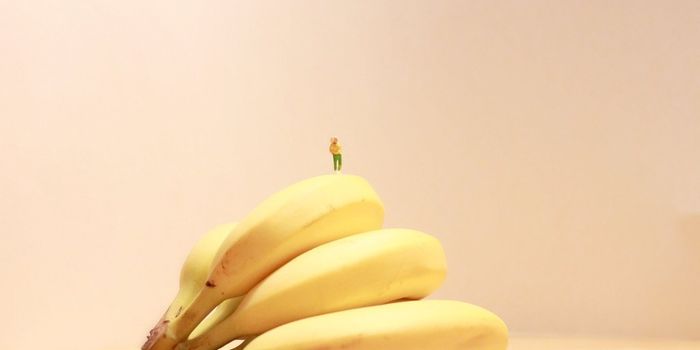 'Be a good banana' Why is a baby's size compared to different types of fruit?