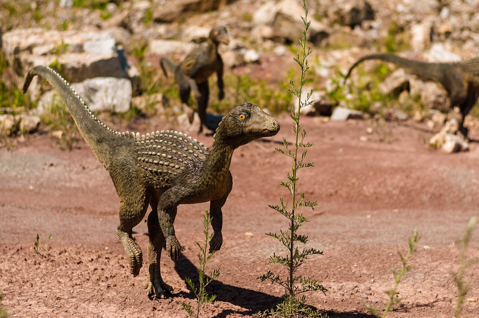 You can meet mini dinosaurs in Dublin city centre this Friday