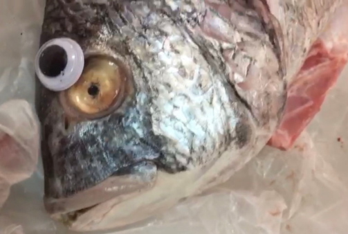 Shop in trouble for sticking googly eyes on fish to make them seem fresh