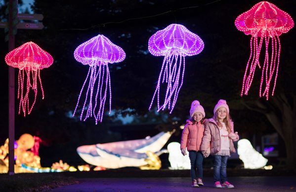 Wild Lights in Dublin Zoo cancelled tonight due to Met Eireann warning