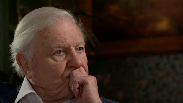 David Attenborough revealed he became emotional watching latest ‘Dynasties’ episode