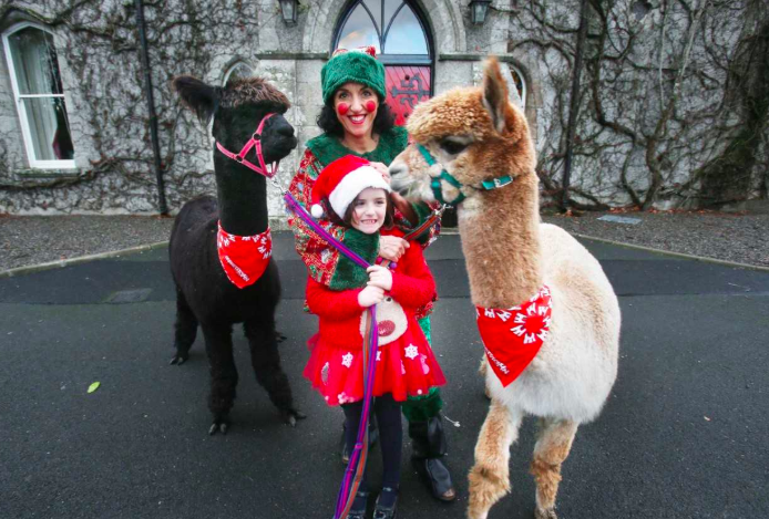 Barretstown wants the public to become Secret Santas for a special reason