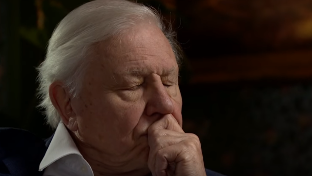 David Attenborough will speak for the people at next UN climate change conference