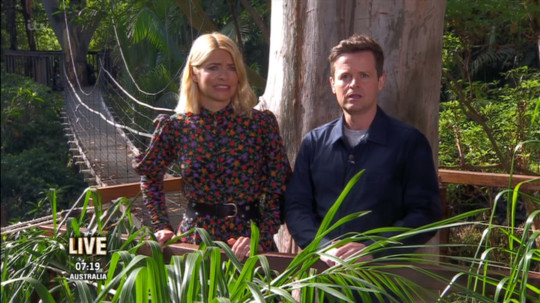 Dec reveals what happens to the treats the I’m A Celeb campmates lose in challenges