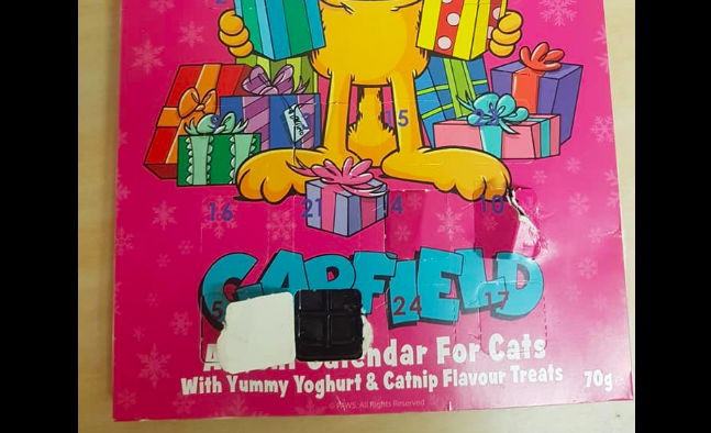 This girl has spent December eating treats from an Advent calendar for cats