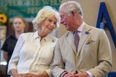 Apparently, this is the title that Camilla will receive when Prince Charles becomes King.
