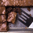 These healthy almond flour brownies are perfect for the kids (and you)