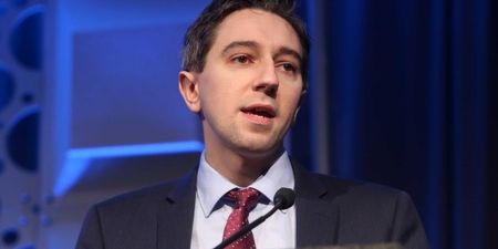‘My baby is not a public figure’: Simon Harris says wife and daughter were used by protestors to identify family home