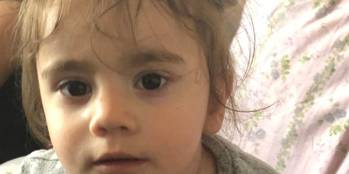 One-year-old girl taken during car theft found safe and well