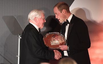 David Attenborough speculates as to why his documentaries are still so popular