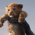 Disney’s remake of The Lion King is set to roar onto ODEON screens tomorrow