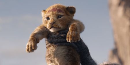 Disney’s remake of The Lion King is set to roar onto ODEON screens tomorrow
