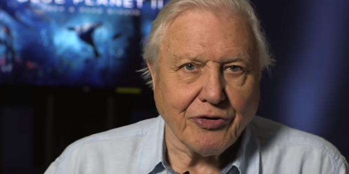 BBC announce David Attenborough has two nature documentaries coming this year